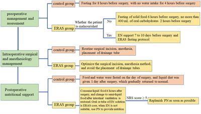 Targeted nutritional intervention with enhanced recovery after surgery for carotid endarterectomy: A prospective clinical trial